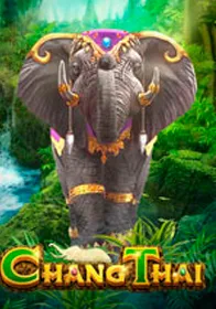 Chang Thai — เกมสล็อตออนไลน์ค่ายลิขสิทธิ์แท้